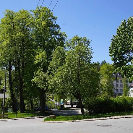 Ferienwohnung KerMärchen Gelenau Exterior foto